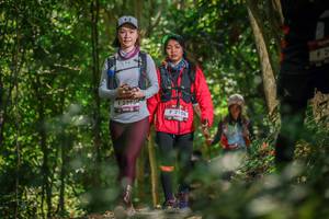 BIB: 2396, 2106
                            <button type="button" onclick="openModal(7029991)" class="btn btn-primary btn-sm float-right btn-popup" data-toggle="modal" data-target=".modal-high-quality">
                        <i class="fas fa-shopping-cart"></i> Add to Cart
                    </button>
                                            <button type="button" onclick="isThisMe(7029991, true)" class="btn btn-success btn-sm float-right btn-popup btn-isme hidden" data-toggle="tooltip" data-placement="bottom" title="นี่คือรูปของคุณใช่ไหม คลิกที่นี่เพื่อเอาเข้าอัลบั้ม">
                        <i class="fas fa-plus"></i> Add to album
                    </button>
                    <button type="button" onclick="isThisMe(7029991, false)" class="btn btn-warning btn-sm float-right btn-popup btn-isnotme hidden">
                        <i class="fas fa-ban"></i> Remove from album
                    </button>