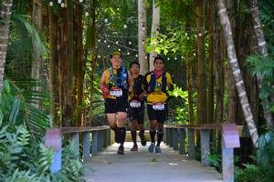 BIB: 135
                            <button type="button" onclick="openModal(6978158)" class="btn btn-primary btn-sm float-right btn-popup" data-toggle="modal" data-target=".modal-high-quality">
                        <i class="fas fa-shopping-cart"></i> Add to Cart
                    </button>
                                            <button type="button" onclick="isThisMe(6978158, true)" class="btn btn-success btn-sm float-right btn-popup btn-isme hidden" data-toggle="tooltip" data-placement="bottom" title="นี่คือรูปของคุณใช่ไหม คลิกที่นี่เพื่อเอาเข้าอัลบั้ม">
                        <i class="fas fa-plus"></i> Add to album
                    </button>
                    <button type="button" onclick="isThisMe(6978158, false)" class="btn btn-warning btn-sm float-right btn-popup btn-isnotme hidden">
                        <i class="fas fa-ban"></i> Remove from album
                    </button>