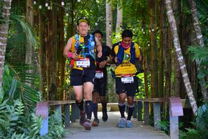 BIB: 4135, 4753, 4900
                            <button type="button" onclick="openModal(6978166)" class="btn btn-primary btn-sm float-right btn-popup" data-toggle="modal" data-target=".modal-high-quality">
                        <i class="fas fa-shopping-cart"></i> Add to Cart
                    </button>
                                            <button type="button" onclick="isThisMe(6978166, true)" class="btn btn-success btn-sm float-right btn-popup btn-isme hidden" data-toggle="tooltip" data-placement="bottom" title="นี่คือรูปของคุณใช่ไหม คลิกที่นี่เพื่อเอาเข้าอัลบั้ม">
                        <i class="fas fa-plus"></i> Add to album
                    </button>
                    <button type="button" onclick="isThisMe(6978166, false)" class="btn btn-warning btn-sm float-right btn-popup btn-isnotme hidden">
                        <i class="fas fa-ban"></i> Remove from album
                    </button>