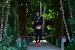 BIB: 7426
                            <button type="button" onclick="openModal(6852955)" class="btn btn-primary btn-sm float-right btn-popup" data-toggle="modal" data-target=".modal-high-quality">
                        <i class="fas fa-shopping-cart"></i> Add to Cart
                    </button>
                                            <button type="button" onclick="isThisMe(6852955, true)" class="btn btn-success btn-sm float-right btn-popup btn-isme hidden" data-toggle="tooltip" data-placement="bottom" title="นี่คือรูปของคุณใช่ไหม คลิกที่นี่เพื่อเอาเข้าอัลบั้ม">
                        <i class="fas fa-plus"></i> Add to album
                    </button>
                    <button type="button" onclick="isThisMe(6852955, false)" class="btn btn-warning btn-sm float-right btn-popup btn-isnotme hidden">
                        <i class="fas fa-ban"></i> Remove from album
                    </button>