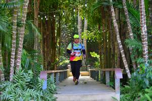 BIB: 2435
                            <button type="button" onclick="openModal(6984859)" class="btn btn-primary btn-sm float-right btn-popup" data-toggle="modal" data-target=".modal-high-quality">
                        <i class="fas fa-shopping-cart"></i> Add to Cart
                    </button>
                                            <button type="button" onclick="isThisMe(6984859, true)" class="btn btn-success btn-sm float-right btn-popup btn-isme hidden" data-toggle="tooltip" data-placement="bottom" title="นี่คือรูปของคุณใช่ไหม คลิกที่นี่เพื่อเอาเข้าอัลบั้ม">
                        <i class="fas fa-plus"></i> Add to album
                    </button>
                    <button type="button" onclick="isThisMe(6984859, false)" class="btn btn-warning btn-sm float-right btn-popup btn-isnotme hidden">
                        <i class="fas fa-ban"></i> Remove from album
                    </button>