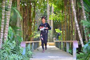 BIB: 4237
                            <button type="button" onclick="openModal(6984593)" class="btn btn-primary btn-sm float-right btn-popup" data-toggle="modal" data-target=".modal-high-quality">
                        <i class="fas fa-shopping-cart"></i> Add to Cart
                    </button>
                                            <button type="button" onclick="isThisMe(6984593, true)" class="btn btn-success btn-sm float-right btn-popup btn-isme hidden" data-toggle="tooltip" data-placement="bottom" title="นี่คือรูปของคุณใช่ไหม คลิกที่นี่เพื่อเอาเข้าอัลบั้ม">
                        <i class="fas fa-plus"></i> Add to album
                    </button>
                    <button type="button" onclick="isThisMe(6984593, false)" class="btn btn-warning btn-sm float-right btn-popup btn-isnotme hidden">
                        <i class="fas fa-ban"></i> Remove from album
                    </button>