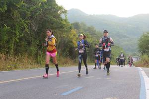 BIB: 
                            <button type="button" onclick="openModal(6887480)" class="btn btn-primary btn-sm float-right btn-popup" data-toggle="modal" data-target=".modal-high-quality">
                        <i class="fas fa-shopping-cart"></i> Add to Cart
                    </button>
                                            <button type="button" onclick="isThisMe(6887480, true)" class="btn btn-success btn-sm float-right btn-popup btn-isme hidden" data-toggle="tooltip" data-placement="bottom" title="นี่คือรูปของคุณใช่ไหม คลิกที่นี่เพื่อเอาเข้าอัลบั้ม">
                        <i class="fas fa-plus"></i> Add to album
                    </button>
                    <button type="button" onclick="isThisMe(6887480, false)" class="btn btn-warning btn-sm float-right btn-popup btn-isnotme hidden">
                        <i class="fas fa-ban"></i> Remove from album
                    </button>