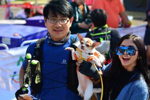 BIB: 
                            <button type="button" onclick="openModal(6962564)" class="btn btn-primary btn-sm float-right btn-popup" data-toggle="modal" data-target=".modal-high-quality">
                        <i class="fas fa-shopping-cart"></i> Add to Cart
                    </button>
                                            <button type="button" onclick="isThisMe(6962564, true)" class="btn btn-success btn-sm float-right btn-popup btn-isme hidden" data-toggle="tooltip" data-placement="bottom" title="นี่คือรูปของคุณใช่ไหม คลิกที่นี่เพื่อเอาเข้าอัลบั้ม">
                        <i class="fas fa-plus"></i> Add to album
                    </button>
                    <button type="button" onclick="isThisMe(6962564, false)" class="btn btn-warning btn-sm float-right btn-popup btn-isnotme hidden">
                        <i class="fas fa-ban"></i> Remove from album
                    </button>