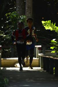 BIB: 4936, 4816
                            <button type="button" onclick="openModal(7071861)" class="btn btn-primary btn-sm float-right btn-popup" data-toggle="modal" data-target=".modal-high-quality">
                        <i class="fas fa-shopping-cart"></i> Add to Cart
                    </button>
                                            <button type="button" onclick="isThisMe(7071861, true)" class="btn btn-success btn-sm float-right btn-popup btn-isme hidden" data-toggle="tooltip" data-placement="bottom" title="นี่คือรูปของคุณใช่ไหม คลิกที่นี่เพื่อเอาเข้าอัลบั้ม">
                        <i class="fas fa-plus"></i> Add to album
                    </button>
                    <button type="button" onclick="isThisMe(7071861, false)" class="btn btn-warning btn-sm float-right btn-popup btn-isnotme hidden">
                        <i class="fas fa-ban"></i> Remove from album
                    </button>