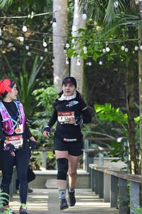 BIB: 1509
                            <button type="button" onclick="openModal(7013824)" class="btn btn-primary btn-sm float-right btn-popup" data-toggle="modal" data-target=".modal-high-quality">
                        <i class="fas fa-shopping-cart"></i> Add to Cart
                    </button>
                                            <button type="button" onclick="isThisMe(7013824, true)" class="btn btn-success btn-sm float-right btn-popup btn-isme hidden" data-toggle="tooltip" data-placement="bottom" title="นี่คือรูปของคุณใช่ไหม คลิกที่นี่เพื่อเอาเข้าอัลบั้ม">
                        <i class="fas fa-plus"></i> Add to album
                    </button>
                    <button type="button" onclick="isThisMe(7013824, false)" class="btn btn-warning btn-sm float-right btn-popup btn-isnotme hidden">
                        <i class="fas fa-ban"></i> Remove from album
                    </button>