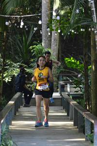 BIB: 1501
                            <button type="button" onclick="openModal(7015027)" class="btn btn-primary btn-sm float-right btn-popup" data-toggle="modal" data-target=".modal-high-quality">
                        <i class="fas fa-shopping-cart"></i> Add to Cart
                    </button>
                                            <button type="button" onclick="isThisMe(7015027, true)" class="btn btn-success btn-sm float-right btn-popup btn-isme hidden" data-toggle="tooltip" data-placement="bottom" title="นี่คือรูปของคุณใช่ไหม คลิกที่นี่เพื่อเอาเข้าอัลบั้ม">
                        <i class="fas fa-plus"></i> Add to album
                    </button>
                    <button type="button" onclick="isThisMe(7015027, false)" class="btn btn-warning btn-sm float-right btn-popup btn-isnotme hidden">
                        <i class="fas fa-ban"></i> Remove from album
                    </button>