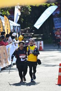 BIB: 2018
                            <button type="button" onclick="openModal(7065990)" class="btn btn-primary btn-sm float-right btn-popup" data-toggle="modal" data-target=".modal-high-quality">
                        <i class="fas fa-shopping-cart"></i> Add to Cart
                    </button>
                                            <button type="button" onclick="isThisMe(7065990, true)" class="btn btn-success btn-sm float-right btn-popup btn-isme hidden" data-toggle="tooltip" data-placement="bottom" title="นี่คือรูปของคุณใช่ไหม คลิกที่นี่เพื่อเอาเข้าอัลบั้ม">
                        <i class="fas fa-plus"></i> Add to album
                    </button>
                    <button type="button" onclick="isThisMe(7065990, false)" class="btn btn-warning btn-sm float-right btn-popup btn-isnotme hidden">
                        <i class="fas fa-ban"></i> Remove from album
                    </button>