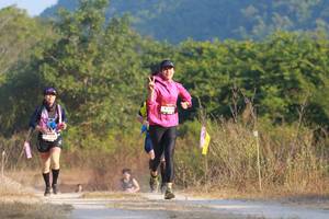 BIB: 
                            <button type="button" onclick="openModal(6897399)" class="btn btn-primary btn-sm float-right btn-popup" data-toggle="modal" data-target=".modal-high-quality">
                        <i class="fas fa-shopping-cart"></i> Add to Cart
                    </button>
                                            <button type="button" onclick="isThisMe(6897399, true)" class="btn btn-success btn-sm float-right btn-popup btn-isme hidden" data-toggle="tooltip" data-placement="bottom" title="นี่คือรูปของคุณใช่ไหม คลิกที่นี่เพื่อเอาเข้าอัลบั้ม">
                        <i class="fas fa-plus"></i> Add to album
                    </button>
                    <button type="button" onclick="isThisMe(6897399, false)" class="btn btn-warning btn-sm float-right btn-popup btn-isnotme hidden">
                        <i class="fas fa-ban"></i> Remove from album
                    </button>