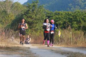 BIB: 
                            <button type="button" onclick="openModal(6897783)" class="btn btn-primary btn-sm float-right btn-popup" data-toggle="modal" data-target=".modal-high-quality">
                        <i class="fas fa-shopping-cart"></i> Add to Cart
                    </button>
                                            <button type="button" onclick="isThisMe(6897783, true)" class="btn btn-success btn-sm float-right btn-popup btn-isme hidden" data-toggle="tooltip" data-placement="bottom" title="นี่คือรูปของคุณใช่ไหม คลิกที่นี่เพื่อเอาเข้าอัลบั้ม">
                        <i class="fas fa-plus"></i> Add to album
                    </button>
                    <button type="button" onclick="isThisMe(6897783, false)" class="btn btn-warning btn-sm float-right btn-popup btn-isnotme hidden">
                        <i class="fas fa-ban"></i> Remove from album
                    </button>