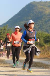 BIB: 1564, 1243
                            <button type="button" onclick="openModal(6900143)" class="btn btn-primary btn-sm float-right btn-popup" data-toggle="modal" data-target=".modal-high-quality">
                        <i class="fas fa-shopping-cart"></i> Add to Cart
                    </button>
                                            <button type="button" onclick="isThisMe(6900143, true)" class="btn btn-success btn-sm float-right btn-popup btn-isme hidden" data-toggle="tooltip" data-placement="bottom" title="นี่คือรูปของคุณใช่ไหม คลิกที่นี่เพื่อเอาเข้าอัลบั้ม">
                        <i class="fas fa-plus"></i> Add to album
                    </button>
                    <button type="button" onclick="isThisMe(6900143, false)" class="btn btn-warning btn-sm float-right btn-popup btn-isnotme hidden">
                        <i class="fas fa-ban"></i> Remove from album
                    </button>