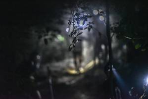 BIB: 
                            <button type="button" onclick="openModal(7141859)" class="btn btn-primary btn-sm float-right btn-popup" data-toggle="modal" data-target=".modal-high-quality">
                        <i class="fas fa-shopping-cart"></i> Add to Cart
                    </button>
                                            <button type="button" onclick="isThisMe(7141859, true)" class="btn btn-success btn-sm float-right btn-popup btn-isme hidden" data-toggle="tooltip" data-placement="bottom" title="นี่คือรูปของคุณใช่ไหม คลิกที่นี่เพื่อเอาเข้าอัลบั้ม">
                        <i class="fas fa-plus"></i> Add to album
                    </button>
                    <button type="button" onclick="isThisMe(7141859, false)" class="btn btn-warning btn-sm float-right btn-popup btn-isnotme hidden">
                        <i class="fas fa-ban"></i> Remove from album
                    </button>