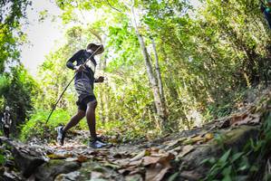 BIB: 
                            <button type="button" onclick="openModal(7145529)" class="btn btn-primary btn-sm float-right btn-popup" data-toggle="modal" data-target=".modal-high-quality">
                        <i class="fas fa-shopping-cart"></i> Add to Cart
                    </button>
                                            <button type="button" onclick="isThisMe(7145529, true)" class="btn btn-success btn-sm float-right btn-popup btn-isme hidden" data-toggle="tooltip" data-placement="bottom" title="นี่คือรูปของคุณใช่ไหม คลิกที่นี่เพื่อเอาเข้าอัลบั้ม">
                        <i class="fas fa-plus"></i> Add to album
                    </button>
                    <button type="button" onclick="isThisMe(7145529, false)" class="btn btn-warning btn-sm float-right btn-popup btn-isnotme hidden">
                        <i class="fas fa-ban"></i> Remove from album
                    </button>