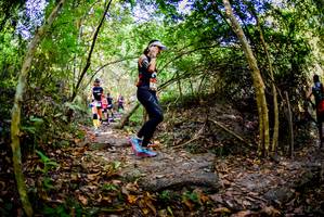 BIB: 
                            <button type="button" onclick="openModal(7145579)" class="btn btn-primary btn-sm float-right btn-popup" data-toggle="modal" data-target=".modal-high-quality">
                        <i class="fas fa-shopping-cart"></i> Add to Cart
                    </button>
                                            <button type="button" onclick="isThisMe(7145579, true)" class="btn btn-success btn-sm float-right btn-popup btn-isme hidden" data-toggle="tooltip" data-placement="bottom" title="นี่คือรูปของคุณใช่ไหม คลิกที่นี่เพื่อเอาเข้าอัลบั้ม">
                        <i class="fas fa-plus"></i> Add to album
                    </button>
                    <button type="button" onclick="isThisMe(7145579, false)" class="btn btn-warning btn-sm float-right btn-popup btn-isnotme hidden">
                        <i class="fas fa-ban"></i> Remove from album
                    </button>