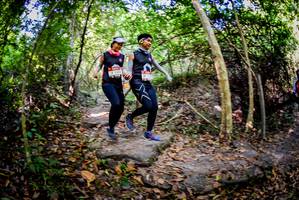 BIB: 
                            <button type="button" onclick="openModal(7144564)" class="btn btn-primary btn-sm float-right btn-popup" data-toggle="modal" data-target=".modal-high-quality">
                        <i class="fas fa-shopping-cart"></i> Add to Cart
                    </button>
                                            <button type="button" onclick="isThisMe(7144564, true)" class="btn btn-success btn-sm float-right btn-popup btn-isme hidden" data-toggle="tooltip" data-placement="bottom" title="นี่คือรูปของคุณใช่ไหม คลิกที่นี่เพื่อเอาเข้าอัลบั้ม">
                        <i class="fas fa-plus"></i> Add to album
                    </button>
                    <button type="button" onclick="isThisMe(7144564, false)" class="btn btn-warning btn-sm float-right btn-popup btn-isnotme hidden">
                        <i class="fas fa-ban"></i> Remove from album
                    </button>