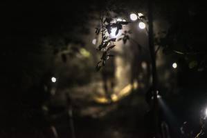 BIB: 
                            <button type="button" onclick="openModal(7144387)" class="btn btn-primary btn-sm float-right btn-popup" data-toggle="modal" data-target=".modal-high-quality">
                        <i class="fas fa-shopping-cart"></i> Add to Cart
                    </button>
                                            <button type="button" onclick="isThisMe(7144387, true)" class="btn btn-success btn-sm float-right btn-popup btn-isme hidden" data-toggle="tooltip" data-placement="bottom" title="นี่คือรูปของคุณใช่ไหม คลิกที่นี่เพื่อเอาเข้าอัลบั้ม">
                        <i class="fas fa-plus"></i> Add to album
                    </button>
                    <button type="button" onclick="isThisMe(7144387, false)" class="btn btn-warning btn-sm float-right btn-popup btn-isnotme hidden">
                        <i class="fas fa-ban"></i> Remove from album
                    </button>