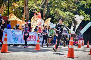 BIB: 
                            <button type="button" onclick="openModal(7146356)" class="btn btn-primary btn-sm float-right btn-popup" data-toggle="modal" data-target=".modal-high-quality">
                        <i class="fas fa-shopping-cart"></i> Add to Cart
                    </button>
                                            <button type="button" onclick="isThisMe(7146356, true)" class="btn btn-success btn-sm float-right btn-popup btn-isme hidden" data-toggle="tooltip" data-placement="bottom" title="นี่คือรูปของคุณใช่ไหม คลิกที่นี่เพื่อเอาเข้าอัลบั้ม">
                        <i class="fas fa-plus"></i> Add to album
                    </button>
                    <button type="button" onclick="isThisMe(7146356, false)" class="btn btn-warning btn-sm float-right btn-popup btn-isnotme hidden">
                        <i class="fas fa-ban"></i> Remove from album
                    </button>