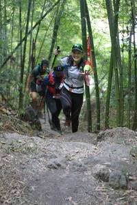 BIB: 
                            <button type="button" onclick="openModal(7015169)" class="btn btn-primary btn-sm float-right btn-popup" data-toggle="modal" data-target=".modal-high-quality">
                        <i class="fas fa-shopping-cart"></i> Add to Cart
                    </button>
                                            <button type="button" onclick="isThisMe(7015169, true)" class="btn btn-success btn-sm float-right btn-popup btn-isme hidden" data-toggle="tooltip" data-placement="bottom" title="นี่คือรูปของคุณใช่ไหม คลิกที่นี่เพื่อเอาเข้าอัลบั้ม">
                        <i class="fas fa-plus"></i> Add to album
                    </button>
                    <button type="button" onclick="isThisMe(7015169, false)" class="btn btn-warning btn-sm float-right btn-popup btn-isnotme hidden">
                        <i class="fas fa-ban"></i> Remove from album
                    </button>