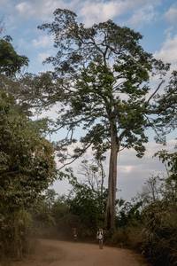 BIB: 
                            <button type="button" onclick="openModal(13718929)" class="btn btn-primary btn-sm float-right btn-popup" data-toggle="modal" data-target=".modal-high-quality">
                        <i class="fas fa-shopping-cart"></i> Add to Cart
                    </button>
                                            <button type="button" onclick="isThisMe(13718929, true)" class="btn btn-success btn-sm float-right btn-popup btn-isme hidden" data-toggle="tooltip" data-placement="bottom" title="นี่คือรูปของคุณใช่ไหม คลิกที่นี่เพื่อเอาเข้าอัลบั้ม">
                        <i class="fas fa-plus"></i> Add to album
                    </button>
                    <button type="button" onclick="isThisMe(13718929, false)" class="btn btn-warning btn-sm float-right btn-popup btn-isnotme hidden">
                        <i class="fas fa-ban"></i> Remove from album
                    </button>