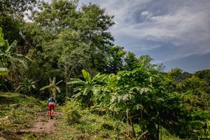 BIB: 
                            <button type="button" onclick="openModal(13719469)" class="btn btn-primary btn-sm float-right btn-popup" data-toggle="modal" data-target=".modal-high-quality">
                        <i class="fas fa-shopping-cart"></i> Add to Cart
                    </button>
                                            <button type="button" onclick="isThisMe(13719469, true)" class="btn btn-success btn-sm float-right btn-popup btn-isme hidden" data-toggle="tooltip" data-placement="bottom" title="นี่คือรูปของคุณใช่ไหม คลิกที่นี่เพื่อเอาเข้าอัลบั้ม">
                        <i class="fas fa-plus"></i> Add to album
                    </button>
                    <button type="button" onclick="isThisMe(13719469, false)" class="btn btn-warning btn-sm float-right btn-popup btn-isnotme hidden">
                        <i class="fas fa-ban"></i> Remove from album
                    </button>