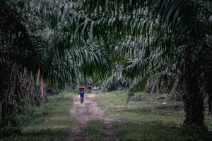 BIB: 
                            <button type="button" onclick="openModal(13718789)" class="btn btn-primary btn-sm float-right btn-popup" data-toggle="modal" data-target=".modal-high-quality">
                        <i class="fas fa-shopping-cart"></i> Add to Cart
                    </button>
                                            <button type="button" onclick="isThisMe(13718789, true)" class="btn btn-success btn-sm float-right btn-popup btn-isme hidden" data-toggle="tooltip" data-placement="bottom" title="นี่คือรูปของคุณใช่ไหม คลิกที่นี่เพื่อเอาเข้าอัลบั้ม">
                        <i class="fas fa-plus"></i> Add to album
                    </button>
                    <button type="button" onclick="isThisMe(13718789, false)" class="btn btn-warning btn-sm float-right btn-popup btn-isnotme hidden">
                        <i class="fas fa-ban"></i> Remove from album
                    </button>