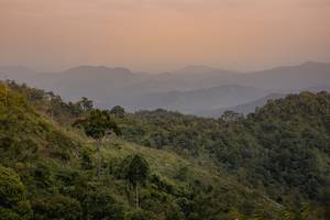 BIB: 
                            <button type="button" onclick="openModal(13718801)" class="btn btn-primary btn-sm float-right btn-popup" data-toggle="modal" data-target=".modal-high-quality">
                        <i class="fas fa-shopping-cart"></i> Add to Cart
                    </button>
                                            <button type="button" onclick="isThisMe(13718801, true)" class="btn btn-success btn-sm float-right btn-popup btn-isme hidden" data-toggle="tooltip" data-placement="bottom" title="นี่คือรูปของคุณใช่ไหม คลิกที่นี่เพื่อเอาเข้าอัลบั้ม">
                        <i class="fas fa-plus"></i> Add to album
                    </button>
                    <button type="button" onclick="isThisMe(13718801, false)" class="btn btn-warning btn-sm float-right btn-popup btn-isnotme hidden">
                        <i class="fas fa-ban"></i> Remove from album
                    </button>