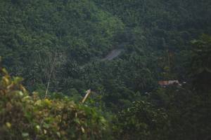 BIB: 
                            <button type="button" onclick="openModal(13719419)" class="btn btn-primary btn-sm float-right btn-popup" data-toggle="modal" data-target=".modal-high-quality">
                        <i class="fas fa-shopping-cart"></i> Add to Cart
                    </button>
                                            <button type="button" onclick="isThisMe(13719419, true)" class="btn btn-success btn-sm float-right btn-popup btn-isme hidden" data-toggle="tooltip" data-placement="bottom" title="นี่คือรูปของคุณใช่ไหม คลิกที่นี่เพื่อเอาเข้าอัลบั้ม">
                        <i class="fas fa-plus"></i> Add to album
                    </button>
                    <button type="button" onclick="isThisMe(13719419, false)" class="btn btn-warning btn-sm float-right btn-popup btn-isnotme hidden">
                        <i class="fas fa-ban"></i> Remove from album
                    </button>