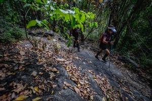 BIB: 
                            <button type="button" onclick="openModal(13719374)" class="btn btn-primary btn-sm float-right btn-popup" data-toggle="modal" data-target=".modal-high-quality">
                        <i class="fas fa-shopping-cart"></i> Add to Cart
                    </button>
                                            <button type="button" onclick="isThisMe(13719374, true)" class="btn btn-success btn-sm float-right btn-popup btn-isme hidden" data-toggle="tooltip" data-placement="bottom" title="นี่คือรูปของคุณใช่ไหม คลิกที่นี่เพื่อเอาเข้าอัลบั้ม">
                        <i class="fas fa-plus"></i> Add to album
                    </button>
                    <button type="button" onclick="isThisMe(13719374, false)" class="btn btn-warning btn-sm float-right btn-popup btn-isnotme hidden">
                        <i class="fas fa-ban"></i> Remove from album
                    </button>