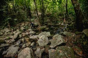 BIB: 
                            <button type="button" onclick="openModal(13718698)" class="btn btn-primary btn-sm float-right btn-popup" data-toggle="modal" data-target=".modal-high-quality">
                        <i class="fas fa-shopping-cart"></i> Add to Cart
                    </button>
                                            <button type="button" onclick="isThisMe(13718698, true)" class="btn btn-success btn-sm float-right btn-popup btn-isme hidden" data-toggle="tooltip" data-placement="bottom" title="นี่คือรูปของคุณใช่ไหม คลิกที่นี่เพื่อเอาเข้าอัลบั้ม">
                        <i class="fas fa-plus"></i> Add to album
                    </button>
                    <button type="button" onclick="isThisMe(13718698, false)" class="btn btn-warning btn-sm float-right btn-popup btn-isnotme hidden">
                        <i class="fas fa-ban"></i> Remove from album
                    </button>