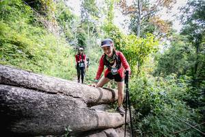 BIB: 
                            <button type="button" onclick="openModal(13719361)" class="btn btn-primary btn-sm float-right btn-popup" data-toggle="modal" data-target=".modal-high-quality">
                        <i class="fas fa-shopping-cart"></i> Add to Cart
                    </button>
                                            <button type="button" onclick="isThisMe(13719361, true)" class="btn btn-success btn-sm float-right btn-popup btn-isme hidden" data-toggle="tooltip" data-placement="bottom" title="นี่คือรูปของคุณใช่ไหม คลิกที่นี่เพื่อเอาเข้าอัลบั้ม">
                        <i class="fas fa-plus"></i> Add to album
                    </button>
                    <button type="button" onclick="isThisMe(13719361, false)" class="btn btn-warning btn-sm float-right btn-popup btn-isnotme hidden">
                        <i class="fas fa-ban"></i> Remove from album
                    </button>