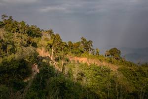 BIB: 
                            <button type="button" onclick="openModal(13718904)" class="btn btn-primary btn-sm float-right btn-popup" data-toggle="modal" data-target=".modal-high-quality">
                        <i class="fas fa-shopping-cart"></i> Add to Cart
                    </button>
                                            <button type="button" onclick="isThisMe(13718904, true)" class="btn btn-success btn-sm float-right btn-popup btn-isme hidden" data-toggle="tooltip" data-placement="bottom" title="นี่คือรูปของคุณใช่ไหม คลิกที่นี่เพื่อเอาเข้าอัลบั้ม">
                        <i class="fas fa-plus"></i> Add to album
                    </button>
                    <button type="button" onclick="isThisMe(13718904, false)" class="btn btn-warning btn-sm float-right btn-popup btn-isnotme hidden">
                        <i class="fas fa-ban"></i> Remove from album
                    </button>