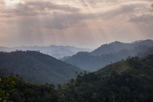 BIB: 
                            <button type="button" onclick="openModal(13718828)" class="btn btn-primary btn-sm float-right btn-popup" data-toggle="modal" data-target=".modal-high-quality">
                        <i class="fas fa-shopping-cart"></i> Add to Cart
                    </button>
                                            <button type="button" onclick="isThisMe(13718828, true)" class="btn btn-success btn-sm float-right btn-popup btn-isme hidden" data-toggle="tooltip" data-placement="bottom" title="นี่คือรูปของคุณใช่ไหม คลิกที่นี่เพื่อเอาเข้าอัลบั้ม">
                        <i class="fas fa-plus"></i> Add to album
                    </button>
                    <button type="button" onclick="isThisMe(13718828, false)" class="btn btn-warning btn-sm float-right btn-popup btn-isnotme hidden">
                        <i class="fas fa-ban"></i> Remove from album
                    </button>