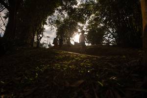 BIB: 
                            <button type="button" onclick="openModal(13718859)" class="btn btn-primary btn-sm float-right btn-popup" data-toggle="modal" data-target=".modal-high-quality">
                        <i class="fas fa-shopping-cart"></i> Add to Cart
                    </button>
                                            <button type="button" onclick="isThisMe(13718859, true)" class="btn btn-success btn-sm float-right btn-popup btn-isme hidden" data-toggle="tooltip" data-placement="bottom" title="นี่คือรูปของคุณใช่ไหม คลิกที่นี่เพื่อเอาเข้าอัลบั้ม">
                        <i class="fas fa-plus"></i> Add to album
                    </button>
                    <button type="button" onclick="isThisMe(13718859, false)" class="btn btn-warning btn-sm float-right btn-popup btn-isnotme hidden">
                        <i class="fas fa-ban"></i> Remove from album
                    </button>