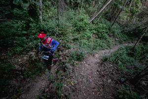 BIB: 
                            <button type="button" onclick="openModal(13719386)" class="btn btn-primary btn-sm float-right btn-popup" data-toggle="modal" data-target=".modal-high-quality">
                        <i class="fas fa-shopping-cart"></i> Add to Cart
                    </button>
                                            <button type="button" onclick="isThisMe(13719386, true)" class="btn btn-success btn-sm float-right btn-popup btn-isme hidden" data-toggle="tooltip" data-placement="bottom" title="นี่คือรูปของคุณใช่ไหม คลิกที่นี่เพื่อเอาเข้าอัลบั้ม">
                        <i class="fas fa-plus"></i> Add to album
                    </button>
                    <button type="button" onclick="isThisMe(13719386, false)" class="btn btn-warning btn-sm float-right btn-popup btn-isnotme hidden">
                        <i class="fas fa-ban"></i> Remove from album
                    </button>