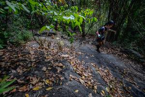 BIB: 
                            <button type="button" onclick="openModal(13719372)" class="btn btn-primary btn-sm float-right btn-popup" data-toggle="modal" data-target=".modal-high-quality">
                        <i class="fas fa-shopping-cart"></i> Add to Cart
                    </button>
                                            <button type="button" onclick="isThisMe(13719372, true)" class="btn btn-success btn-sm float-right btn-popup btn-isme hidden" data-toggle="tooltip" data-placement="bottom" title="นี่คือรูปของคุณใช่ไหม คลิกที่นี่เพื่อเอาเข้าอัลบั้ม">
                        <i class="fas fa-plus"></i> Add to album
                    </button>
                    <button type="button" onclick="isThisMe(13719372, false)" class="btn btn-warning btn-sm float-right btn-popup btn-isnotme hidden">
                        <i class="fas fa-ban"></i> Remove from album
                    </button>