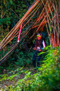 BIB: 
                            <button type="button" onclick="openModal(13699714)" class="btn btn-primary btn-sm float-right btn-popup" data-toggle="modal" data-target=".modal-high-quality">
                        <i class="fas fa-shopping-cart"></i> Add to Cart
                    </button>
                                            <button type="button" onclick="isThisMe(13699714, true)" class="btn btn-success btn-sm float-right btn-popup btn-isme hidden" data-toggle="tooltip" data-placement="bottom" title="นี่คือรูปของคุณใช่ไหม คลิกที่นี่เพื่อเอาเข้าอัลบั้ม">
                        <i class="fas fa-plus"></i> Add to album
                    </button>
                    <button type="button" onclick="isThisMe(13699714, false)" class="btn btn-warning btn-sm float-right btn-popup btn-isnotme hidden">
                        <i class="fas fa-ban"></i> Remove from album
                    </button>