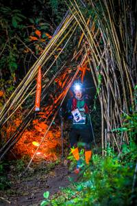 BIB: 
                            <button type="button" onclick="openModal(13701400)" class="btn btn-primary btn-sm float-right btn-popup" data-toggle="modal" data-target=".modal-high-quality">
                        <i class="fas fa-shopping-cart"></i> Add to Cart
                    </button>
                                            <button type="button" onclick="isThisMe(13701400, true)" class="btn btn-success btn-sm float-right btn-popup btn-isme hidden" data-toggle="tooltip" data-placement="bottom" title="นี่คือรูปของคุณใช่ไหม คลิกที่นี่เพื่อเอาเข้าอัลบั้ม">
                        <i class="fas fa-plus"></i> Add to album
                    </button>
                    <button type="button" onclick="isThisMe(13701400, false)" class="btn btn-warning btn-sm float-right btn-popup btn-isnotme hidden">
                        <i class="fas fa-ban"></i> Remove from album
                    </button>