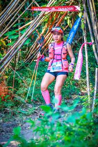 BIB: 
                            <button type="button" onclick="openModal(13703280)" class="btn btn-primary btn-sm float-right btn-popup" data-toggle="modal" data-target=".modal-high-quality">
                        <i class="fas fa-shopping-cart"></i> Add to Cart
                    </button>
                                            <button type="button" onclick="isThisMe(13703280, true)" class="btn btn-success btn-sm float-right btn-popup btn-isme hidden" data-toggle="tooltip" data-placement="bottom" title="นี่คือรูปของคุณใช่ไหม คลิกที่นี่เพื่อเอาเข้าอัลบั้ม">
                        <i class="fas fa-plus"></i> Add to album
                    </button>
                    <button type="button" onclick="isThisMe(13703280, false)" class="btn btn-warning btn-sm float-right btn-popup btn-isnotme hidden">
                        <i class="fas fa-ban"></i> Remove from album
                    </button>