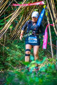 BIB: 
                            <button type="button" onclick="openModal(13704338)" class="btn btn-primary btn-sm float-right btn-popup" data-toggle="modal" data-target=".modal-high-quality">
                        <i class="fas fa-shopping-cart"></i> Add to Cart
                    </button>
                                            <button type="button" onclick="isThisMe(13704338, true)" class="btn btn-success btn-sm float-right btn-popup btn-isme hidden" data-toggle="tooltip" data-placement="bottom" title="นี่คือรูปของคุณใช่ไหม คลิกที่นี่เพื่อเอาเข้าอัลบั้ม">
                        <i class="fas fa-plus"></i> Add to album
                    </button>
                    <button type="button" onclick="isThisMe(13704338, false)" class="btn btn-warning btn-sm float-right btn-popup btn-isnotme hidden">
                        <i class="fas fa-ban"></i> Remove from album
                    </button>