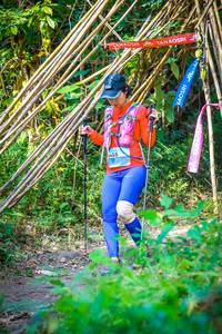 BIB: 
                            <button type="button" onclick="openModal(13704811)" class="btn btn-primary btn-sm float-right btn-popup" data-toggle="modal" data-target=".modal-high-quality">
                        <i class="fas fa-shopping-cart"></i> Add to Cart
                    </button>
                                            <button type="button" onclick="isThisMe(13704811, true)" class="btn btn-success btn-sm float-right btn-popup btn-isme hidden" data-toggle="tooltip" data-placement="bottom" title="นี่คือรูปของคุณใช่ไหม คลิกที่นี่เพื่อเอาเข้าอัลบั้ม">
                        <i class="fas fa-plus"></i> Add to album
                    </button>
                    <button type="button" onclick="isThisMe(13704811, false)" class="btn btn-warning btn-sm float-right btn-popup btn-isnotme hidden">
                        <i class="fas fa-ban"></i> Remove from album
                    </button>