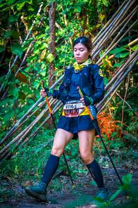 BIB: 
                            <button type="button" onclick="openModal(13703430)" class="btn btn-primary btn-sm float-right btn-popup" data-toggle="modal" data-target=".modal-high-quality">
                        <i class="fas fa-shopping-cart"></i> Add to Cart
                    </button>
                                            <button type="button" onclick="isThisMe(13703430, true)" class="btn btn-success btn-sm float-right btn-popup btn-isme hidden" data-toggle="tooltip" data-placement="bottom" title="นี่คือรูปของคุณใช่ไหม คลิกที่นี่เพื่อเอาเข้าอัลบั้ม">
                        <i class="fas fa-plus"></i> Add to album
                    </button>
                    <button type="button" onclick="isThisMe(13703430, false)" class="btn btn-warning btn-sm float-right btn-popup btn-isnotme hidden">
                        <i class="fas fa-ban"></i> Remove from album
                    </button>