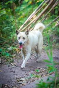 BIB: 
                            <button type="button" onclick="openModal(13706266)" class="btn btn-primary btn-sm float-right btn-popup" data-toggle="modal" data-target=".modal-high-quality">
                        <i class="fas fa-shopping-cart"></i> Add to Cart
                    </button>
                                            <button type="button" onclick="isThisMe(13706266, true)" class="btn btn-success btn-sm float-right btn-popup btn-isme hidden" data-toggle="tooltip" data-placement="bottom" title="นี่คือรูปของคุณใช่ไหม คลิกที่นี่เพื่อเอาเข้าอัลบั้ม">
                        <i class="fas fa-plus"></i> Add to album
                    </button>
                    <button type="button" onclick="isThisMe(13706266, false)" class="btn btn-warning btn-sm float-right btn-popup btn-isnotme hidden">
                        <i class="fas fa-ban"></i> Remove from album
                    </button>