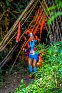 BIB: 
                            <button type="button" onclick="openModal(13699801)" class="btn btn-primary btn-sm float-right btn-popup" data-toggle="modal" data-target=".modal-high-quality">
                        <i class="fas fa-shopping-cart"></i> Add to Cart
                    </button>
                                            <button type="button" onclick="isThisMe(13699801, true)" class="btn btn-success btn-sm float-right btn-popup btn-isme hidden" data-toggle="tooltip" data-placement="bottom" title="นี่คือรูปของคุณใช่ไหม คลิกที่นี่เพื่อเอาเข้าอัลบั้ม">
                        <i class="fas fa-plus"></i> Add to album
                    </button>
                    <button type="button" onclick="isThisMe(13699801, false)" class="btn btn-warning btn-sm float-right btn-popup btn-isnotme hidden">
                        <i class="fas fa-ban"></i> Remove from album
                    </button>