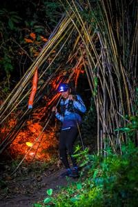 BIB: 
                            <button type="button" onclick="openModal(13701736)" class="btn btn-primary btn-sm float-right btn-popup" data-toggle="modal" data-target=".modal-high-quality">
                        <i class="fas fa-shopping-cart"></i> Add to Cart
                    </button>
                                            <button type="button" onclick="isThisMe(13701736, true)" class="btn btn-success btn-sm float-right btn-popup btn-isme hidden" data-toggle="tooltip" data-placement="bottom" title="นี่คือรูปของคุณใช่ไหม คลิกที่นี่เพื่อเอาเข้าอัลบั้ม">
                        <i class="fas fa-plus"></i> Add to album
                    </button>
                    <button type="button" onclick="isThisMe(13701736, false)" class="btn btn-warning btn-sm float-right btn-popup btn-isnotme hidden">
                        <i class="fas fa-ban"></i> Remove from album
                    </button>