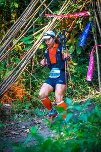 BIB: 
                            <button type="button" onclick="openModal(13703567)" class="btn btn-primary btn-sm float-right btn-popup" data-toggle="modal" data-target=".modal-high-quality">
                        <i class="fas fa-shopping-cart"></i> Add to Cart
                    </button>
                                            <button type="button" onclick="isThisMe(13703567, true)" class="btn btn-success btn-sm float-right btn-popup btn-isme hidden" data-toggle="tooltip" data-placement="bottom" title="นี่คือรูปของคุณใช่ไหม คลิกที่นี่เพื่อเอาเข้าอัลบั้ม">
                        <i class="fas fa-plus"></i> Add to album
                    </button>
                    <button type="button" onclick="isThisMe(13703567, false)" class="btn btn-warning btn-sm float-right btn-popup btn-isnotme hidden">
                        <i class="fas fa-ban"></i> Remove from album
                    </button>