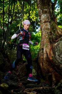 BIB: 
                            <button type="button" onclick="openModal(13537265)" class="btn btn-primary btn-sm float-right btn-popup" data-toggle="modal" data-target=".modal-high-quality">
                        <i class="fas fa-shopping-cart"></i> Add to Cart
                    </button>
                                            <button type="button" onclick="isThisMe(13537265, true)" class="btn btn-success btn-sm float-right btn-popup btn-isme hidden" data-toggle="tooltip" data-placement="bottom" title="นี่คือรูปของคุณใช่ไหม คลิกที่นี่เพื่อเอาเข้าอัลบั้ม">
                        <i class="fas fa-plus"></i> Add to album
                    </button>
                    <button type="button" onclick="isThisMe(13537265, false)" class="btn btn-warning btn-sm float-right btn-popup btn-isnotme hidden">
                        <i class="fas fa-ban"></i> Remove from album
                    </button>