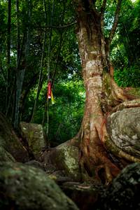 BIB: 
                            <button type="button" onclick="openModal(13534735)" class="btn btn-primary btn-sm float-right btn-popup" data-toggle="modal" data-target=".modal-high-quality">
                        <i class="fas fa-shopping-cart"></i> Add to Cart
                    </button>
                                            <button type="button" onclick="isThisMe(13534735, true)" class="btn btn-success btn-sm float-right btn-popup btn-isme hidden" data-toggle="tooltip" data-placement="bottom" title="นี่คือรูปของคุณใช่ไหม คลิกที่นี่เพื่อเอาเข้าอัลบั้ม">
                        <i class="fas fa-plus"></i> Add to album
                    </button>
                    <button type="button" onclick="isThisMe(13534735, false)" class="btn btn-warning btn-sm float-right btn-popup btn-isnotme hidden">
                        <i class="fas fa-ban"></i> Remove from album
                    </button>