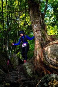 BIB: 
                            <button type="button" onclick="openModal(13535648)" class="btn btn-primary btn-sm float-right btn-popup" data-toggle="modal" data-target=".modal-high-quality">
                        <i class="fas fa-shopping-cart"></i> Add to Cart
                    </button>
                                            <button type="button" onclick="isThisMe(13535648, true)" class="btn btn-success btn-sm float-right btn-popup btn-isme hidden" data-toggle="tooltip" data-placement="bottom" title="นี่คือรูปของคุณใช่ไหม คลิกที่นี่เพื่อเอาเข้าอัลบั้ม">
                        <i class="fas fa-plus"></i> Add to album
                    </button>
                    <button type="button" onclick="isThisMe(13535648, false)" class="btn btn-warning btn-sm float-right btn-popup btn-isnotme hidden">
                        <i class="fas fa-ban"></i> Remove from album
                    </button>