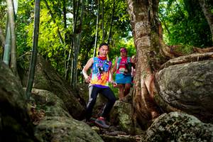 BIB: 
                            <button type="button" onclick="openModal(13543589)" class="btn btn-primary btn-sm float-right btn-popup" data-toggle="modal" data-target=".modal-high-quality">
                        <i class="fas fa-shopping-cart"></i> Add to Cart
                    </button>
                                            <button type="button" onclick="isThisMe(13543589, true)" class="btn btn-success btn-sm float-right btn-popup btn-isme hidden" data-toggle="tooltip" data-placement="bottom" title="นี่คือรูปของคุณใช่ไหม คลิกที่นี่เพื่อเอาเข้าอัลบั้ม">
                        <i class="fas fa-plus"></i> Add to album
                    </button>
                    <button type="button" onclick="isThisMe(13543589, false)" class="btn btn-warning btn-sm float-right btn-popup btn-isnotme hidden">
                        <i class="fas fa-ban"></i> Remove from album
                    </button>