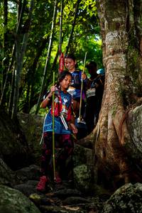 BIB: 
                            <button type="button" onclick="openModal(13542330)" class="btn btn-primary btn-sm float-right btn-popup" data-toggle="modal" data-target=".modal-high-quality">
                        <i class="fas fa-shopping-cart"></i> Add to Cart
                    </button>
                                            <button type="button" onclick="isThisMe(13542330, true)" class="btn btn-success btn-sm float-right btn-popup btn-isme hidden" data-toggle="tooltip" data-placement="bottom" title="นี่คือรูปของคุณใช่ไหม คลิกที่นี่เพื่อเอาเข้าอัลบั้ม">
                        <i class="fas fa-plus"></i> Add to album
                    </button>
                    <button type="button" onclick="isThisMe(13542330, false)" class="btn btn-warning btn-sm float-right btn-popup btn-isnotme hidden">
                        <i class="fas fa-ban"></i> Remove from album
                    </button>